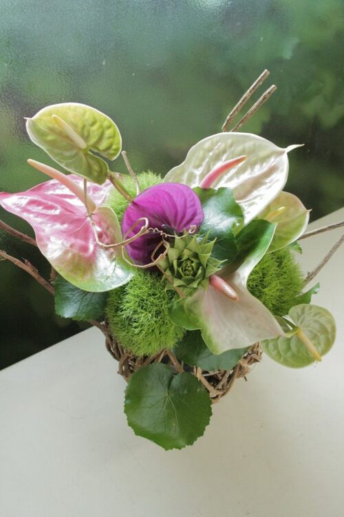 flower-102