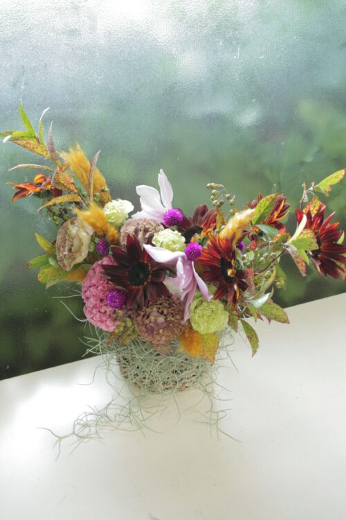 flower-104