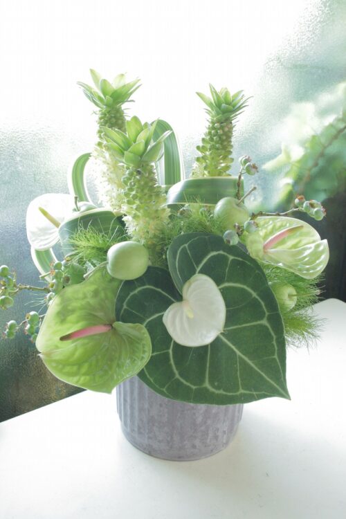 flower-150