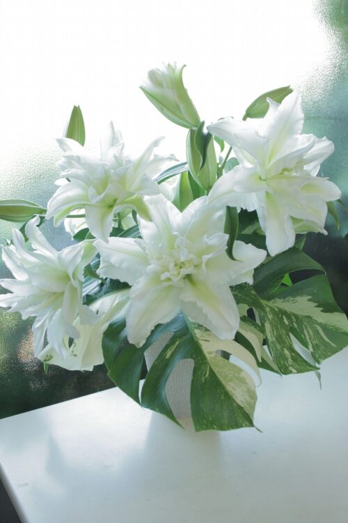 flower-152