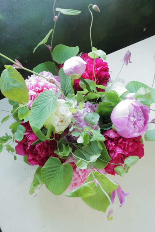 flower-166