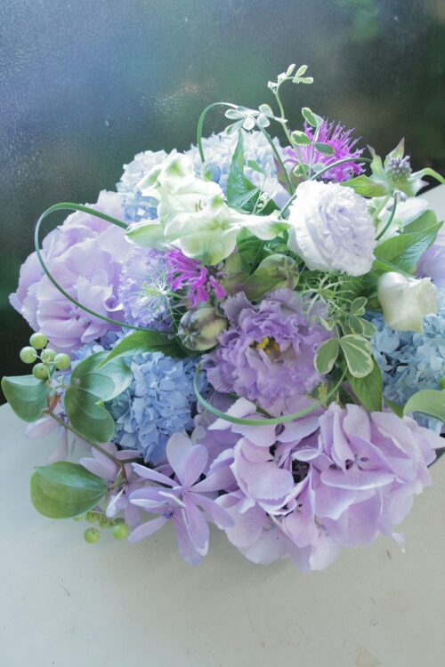 flower-167
